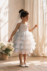 Girls Princess Ruffle Dress Flower Girl Birthday Party Wedding Dress Blue