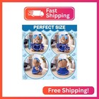 Seenelling 10 Inch Cheerleader Bear Plush With Pom Poms And Bow  Blue
