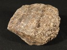Larger  Petrified Wood Fossil With Smoky Quartz Crystals Jurassic Utah 2000gr