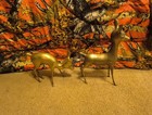 Vintage Large Brass Deer 15 1 2  Tall
