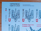 Rare Sheet Unperforated Ukraine 2025  to The Day Of Dignity And Freedom  Trident