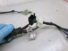 Wire Harness Loom For Honda Cb 600 599 2004 - 2006 H189