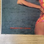 1988 Sports Illustrated Swimsuit Wall Calendar Kim Alexis 15 x15 