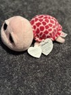  retired  Ty Beanie Boo    shellby    The Pink Turtle      2014  New W  Tags 6   