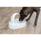 Curved Stream84 5oz Drinking Fountain For Cats And Dogs large Pet Water Fountain