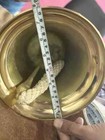 11 large Nautical Solid Brass Ship s Boat Bell Marine Maritime Wall Decor Gift