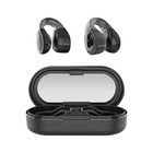 Ai Translation Earbuds Real-time Translator Headphones Tws-q For Conversations
