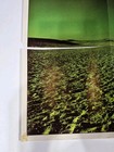 Vintage 1973 Pink Floyd Dark Side Of The Moon Poster Insert Original 30  X 20 