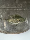 Vtg Minnow Bucket Falls City Oval Galvanized 2 Piece Fish Graphic Expert