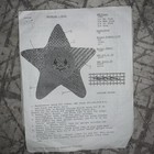 Twinkles The Star Hand Painted Needlepoint Canvas W  Instructions   Gold