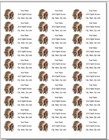 150 Native American Indian Chief Mailing Return Address Labels Personalized
