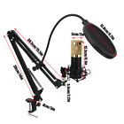 Professional Broadcast Studio Recording Condenser Microphone Mic Kit W  Mount