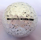 Vice Silver Hills Metallic Silver Black Drip Bison Head - Logo Golf Ball - Aaaaa