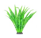 Aquarium Decor Fish Tank Decoration Ornament Artificial Plastic Plant Java Fe   