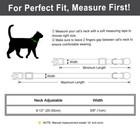 Personalized Cat Collar Breakaway Safety Quick Release Kitten Name Tag Engraved