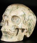 Huge 5 0  Peace Jasper Carved Crystal Skull super Realistic  Crystal Healing