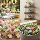 12 Pcs Artificial Succulents Mini Fake Plants Unpotted Faux Succulent For Craft