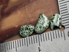  5g Very Bright  from Island  Isle Royale Greenstone Chlorastrolite Michigan Gem