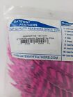 100pk Gateway Feathers 4  Right Wing  Parabolic Barred Flo Pink 400rpbfp-100