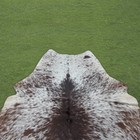 Hair On Cowhide Rug Real Cow Leather Skin Floor Carpet Natural Rug 69x60  Cc1309
