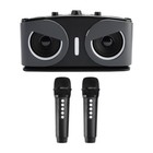 Wireless Bluetooth Speaker High Power Dual Microphone Karaoke All-in-one Audio