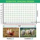 Poultry Netting Electric Fence Portable Livestock Nets Mesh For Chickens Ducks
