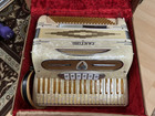 Cantino Accordion