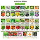 Heirloom Vegetable Seeds Survival Garden Kit - Over 18 000 Seeds  39 Varieties