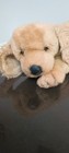 Vintage Applause 1984 Puppy Dog 14   Plush -read