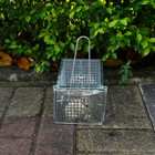 Live Humane Cage Trap For Squirrel Chipmunk Rat Mice Rodent Animal Catcher