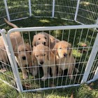 24  Dog Playpen Crate 8 Panel Fence Pet Play Pen Exercise Puppy Kennel Cage Yard