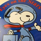 Vintage Nasa Meatball Sign - Space Shuttle Snoopy Astronaut Porcelain Gas Sign