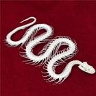 Wholesale 1-100 Pcs Taxidermy Real Snake Skeleton Skull Animal Specimens Decor 