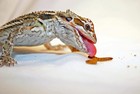 Live Mealworms