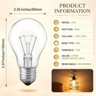 12-pack 60 Watt Incandescent Light Bulbs  A19 E26 Incandescent Bulb