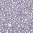 2-3mm Small Tiny Button Freshwater Pearl Loose Beads Undrilled Jewelry Making