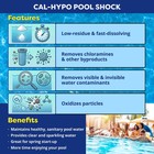 In The Swim Pool Shock     68  Cal-hypo Granular Sanitizer For Crystal Clear Water