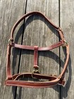 Amish Made Brown Leather Horse Size Halter W brass Hardware