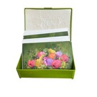 Vintage Hallmark 15 Notes Fruit Still Life Stationery Set Boxed Unused