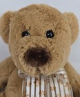 Lot Of 2 Vintage Plush Teddy Bears 10  Brown And Golden Made For Wal-mart 1990s