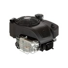 Briggs   Stratton Professional 10 Gt 223cc Vertical Engine   14d932-0110-f1