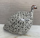 La Pintade Black Speckled White Guinea Fowl Medium