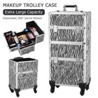 Professional Rolling Makeup Train Case Cosmetic Trolley Makeup Storage Organizer