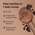 Shakeology Whey Protein Powder Blend - Gluten Free  30 Servings  Vanilla 