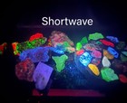 11 Watt Shortwave 254nm 365nm Longwave Uv Ultarviolet  10 Mineral Samples K2