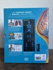 Dk The Human Body   Brain Collection 3-volume Box Set Hardcover Anatomy