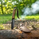 Carbon Steel Bushcraft Knife With Ferro Rod And Leather Sheath Beavercraft Bsh4f