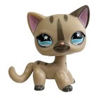 Rare Lps Pet Shop Bobble Head Puppy Dog Kitten Figure Toy Collectible Gift Kids