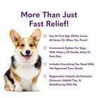 Mysimplepetlab Dog Ear Care Kit