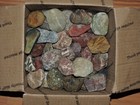 Lot Of      Tumbler Size Rainbow Mixed Stones From Pnw  11 7 Lb  West Coast Rocks